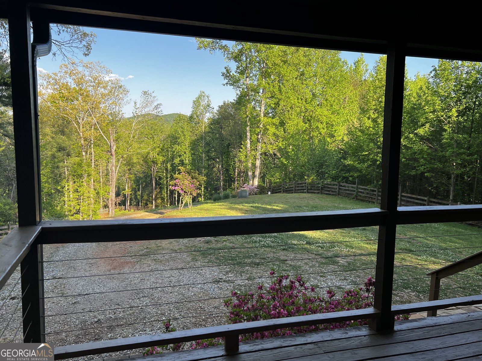 221 Muscadine Road Dahlonega - Photo 17