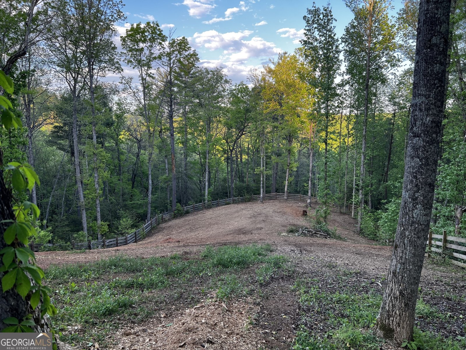 221 Muscadine Road Dahlonega - Photo 46