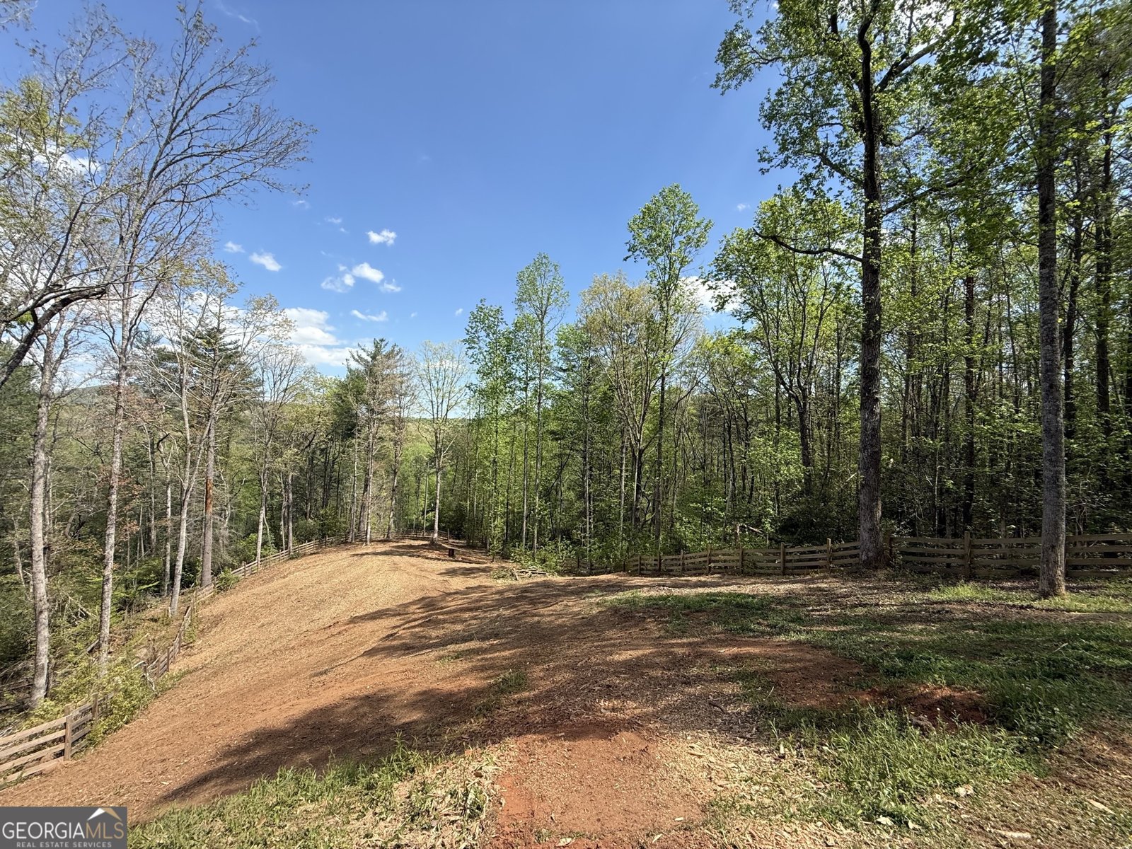 221 Muscadine Road Dahlonega - Photo 47