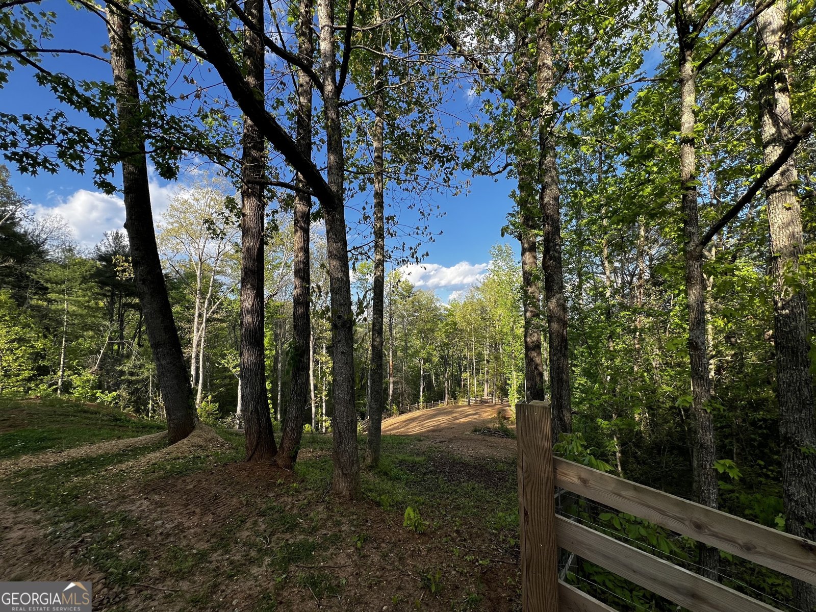 221 Muscadine Road Dahlonega - Photo 48