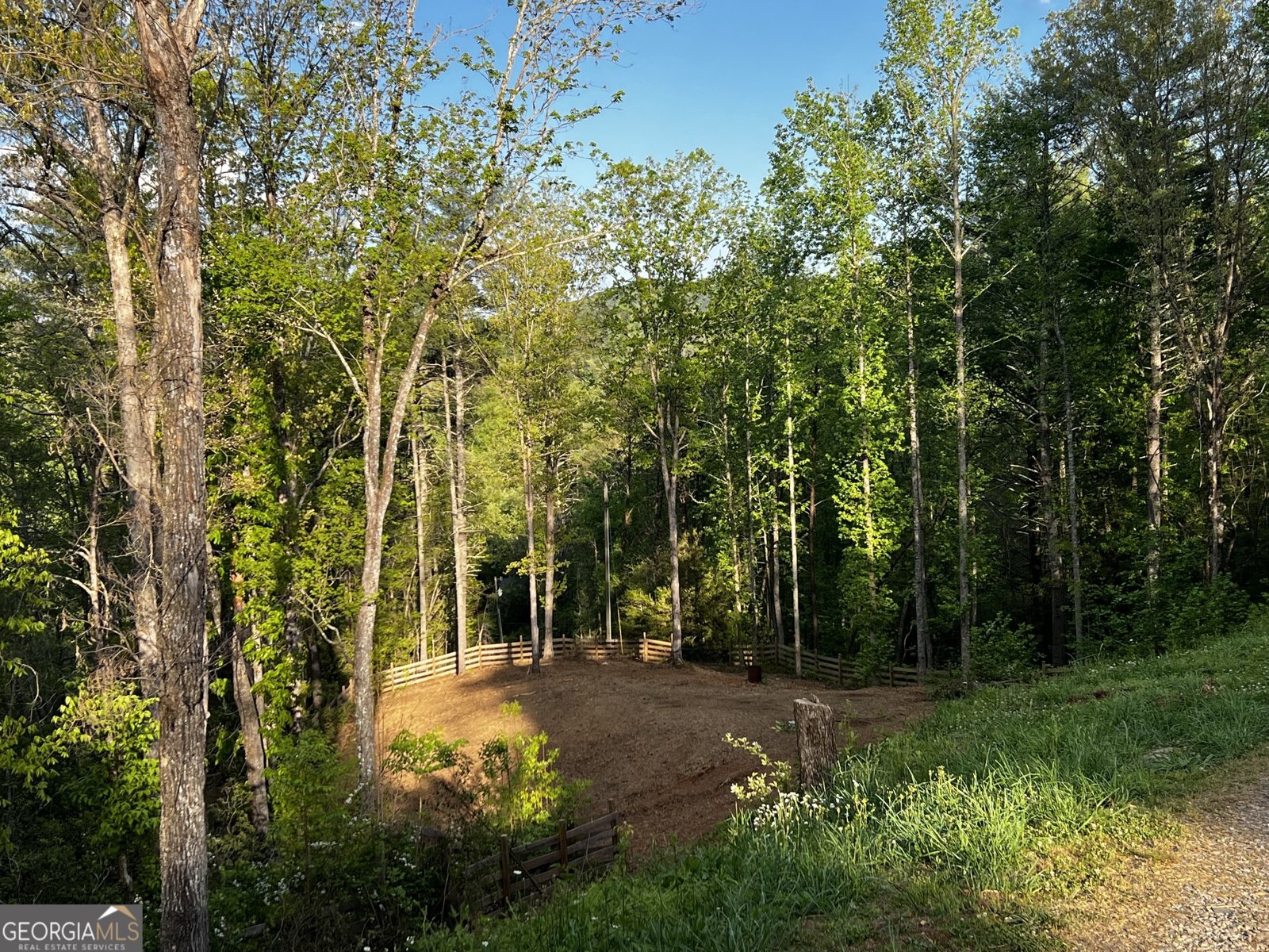 221 Muscadine Road Dahlonega - Photo 49