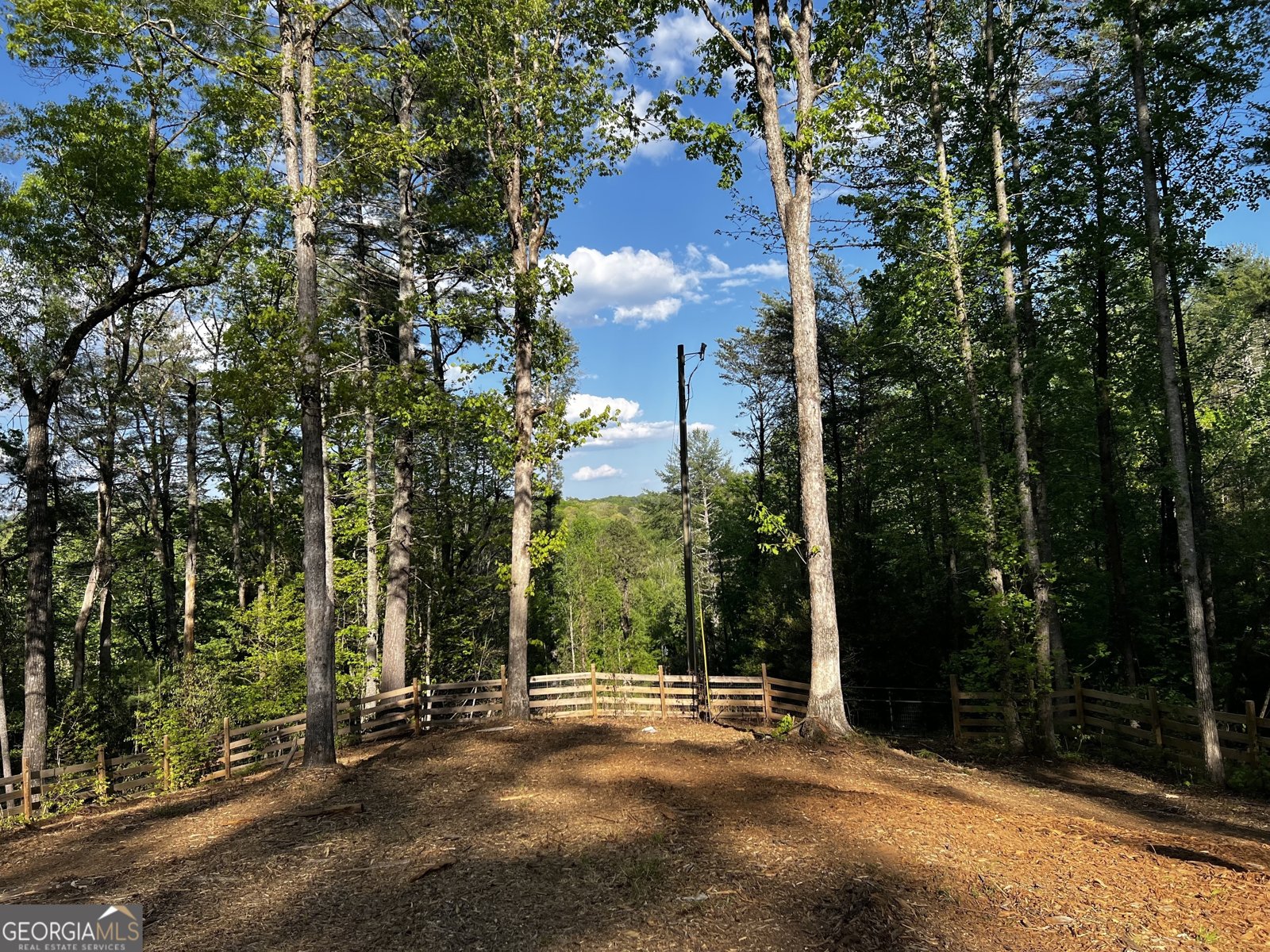 221 Muscadine Road Dahlonega - Photo 50