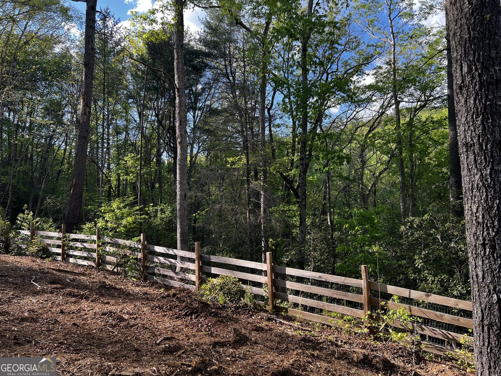 221 Muscadine Road Dahlonega - Photo 51