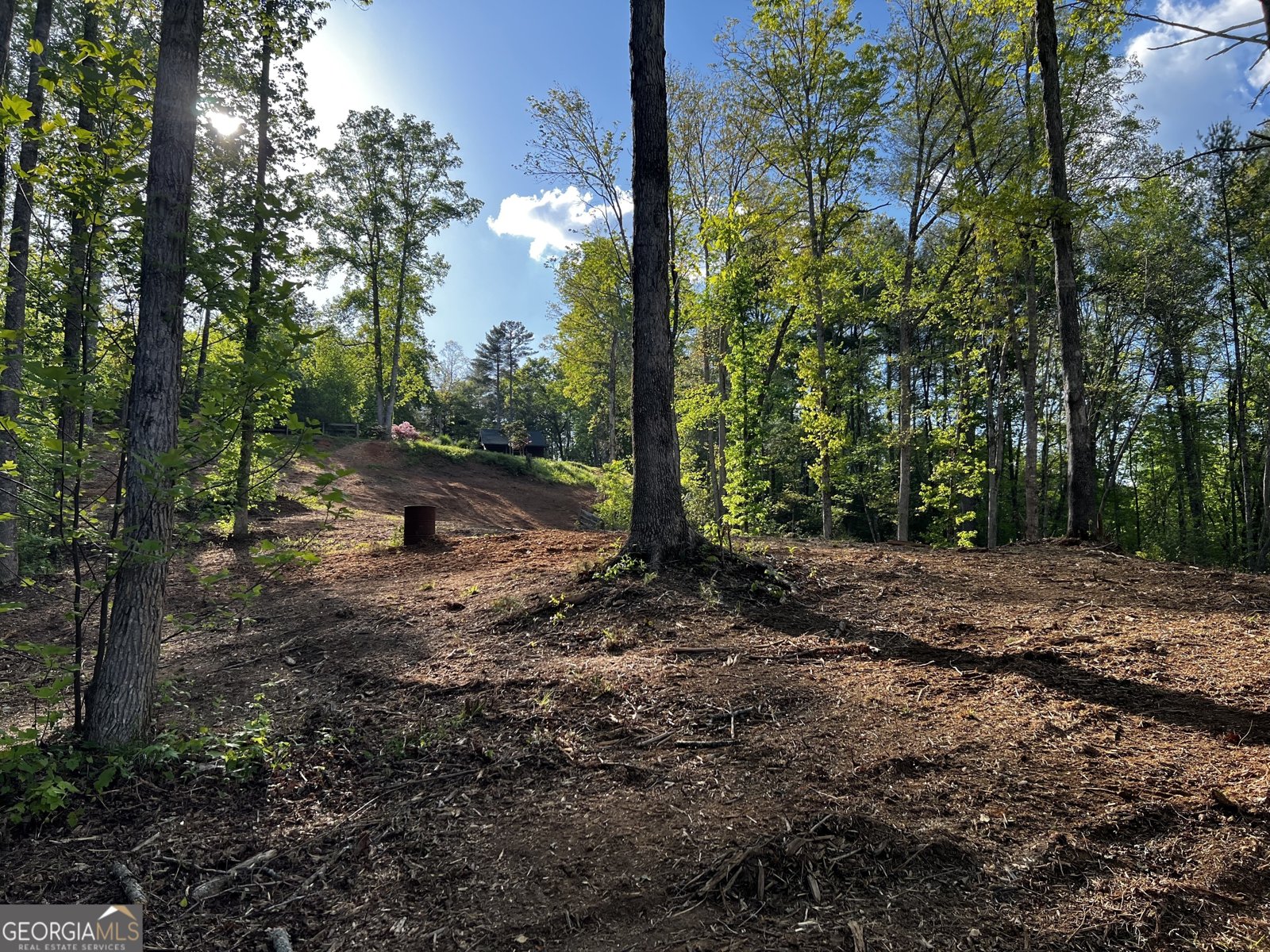 221 Muscadine Road Dahlonega - Photo 52