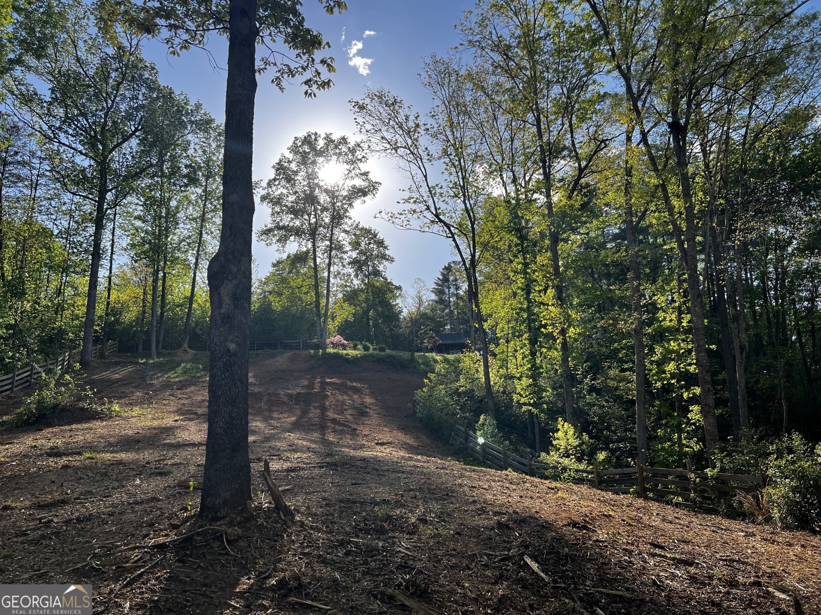 221 Muscadine Road Dahlonega - Photo 53