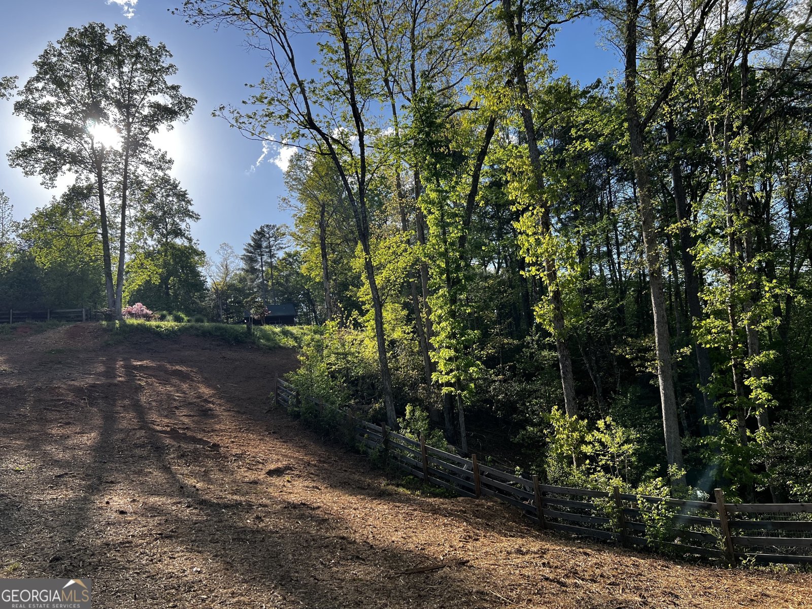 221 Muscadine Road Dahlonega - Photo 54