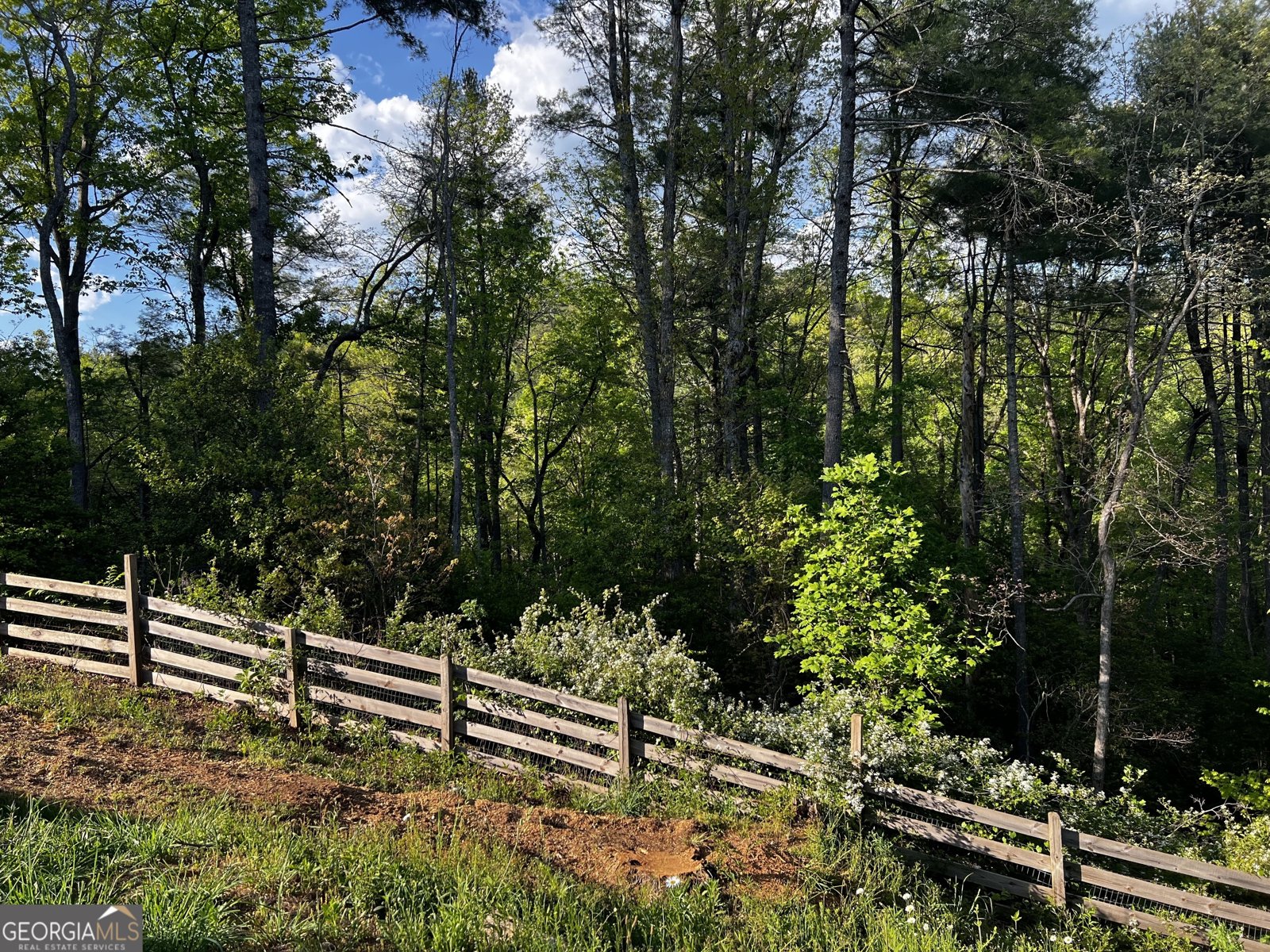 221 Muscadine Road Dahlonega - Photo 55