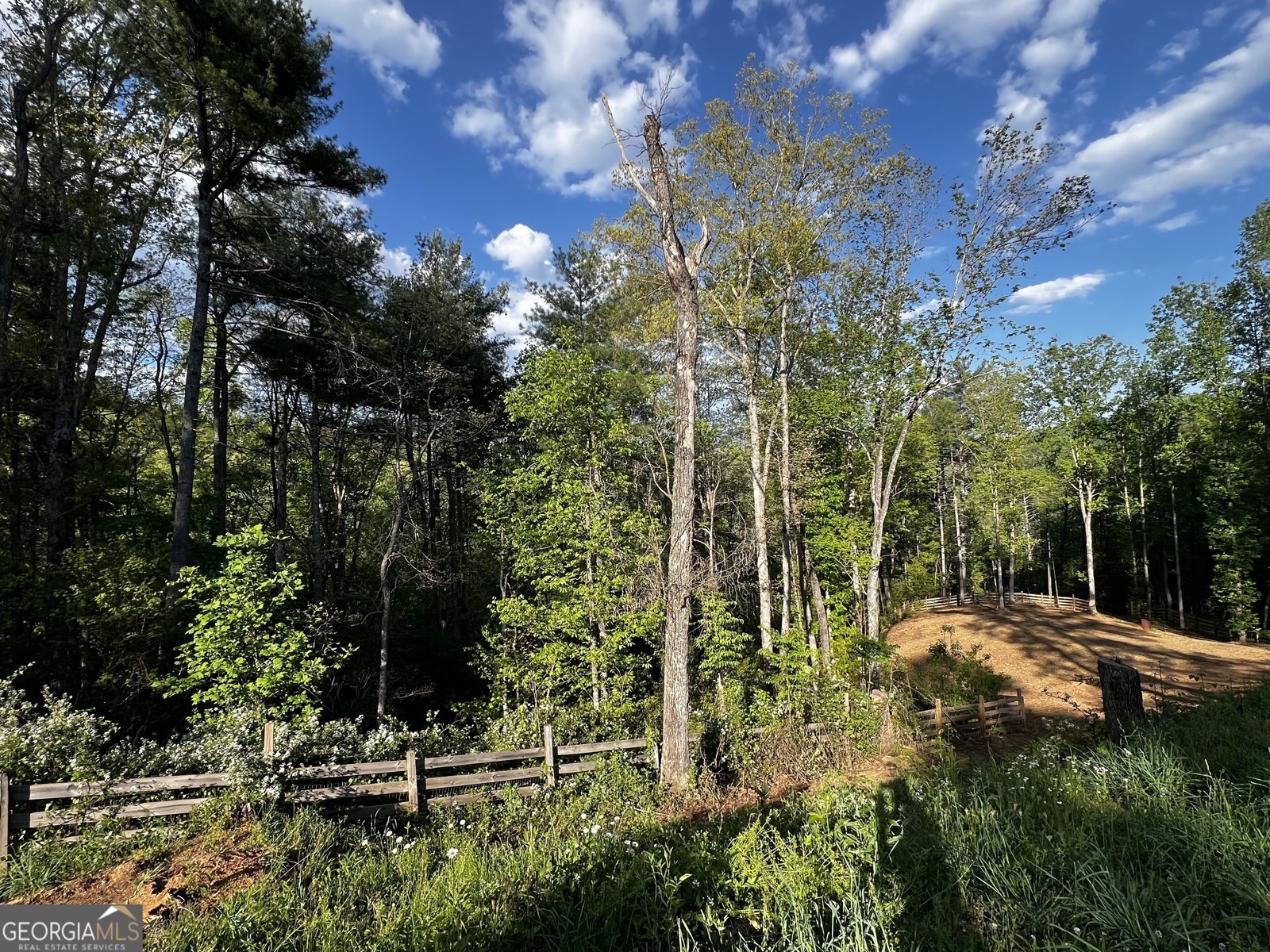 221 Muscadine Road Dahlonega - Photo 56