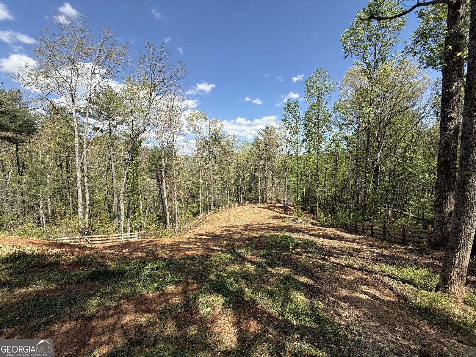 221 Muscadine Road Dahlonega - Photo 57