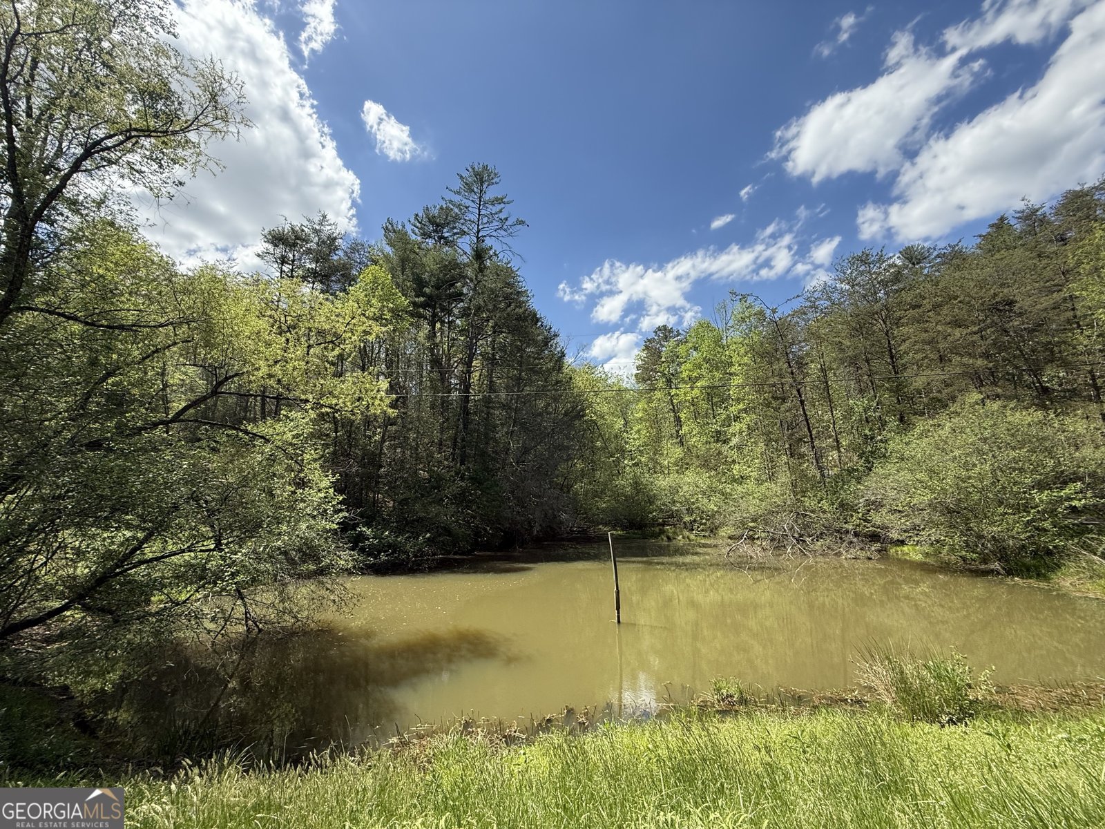 221 Muscadine Road Dahlonega - Photo 58