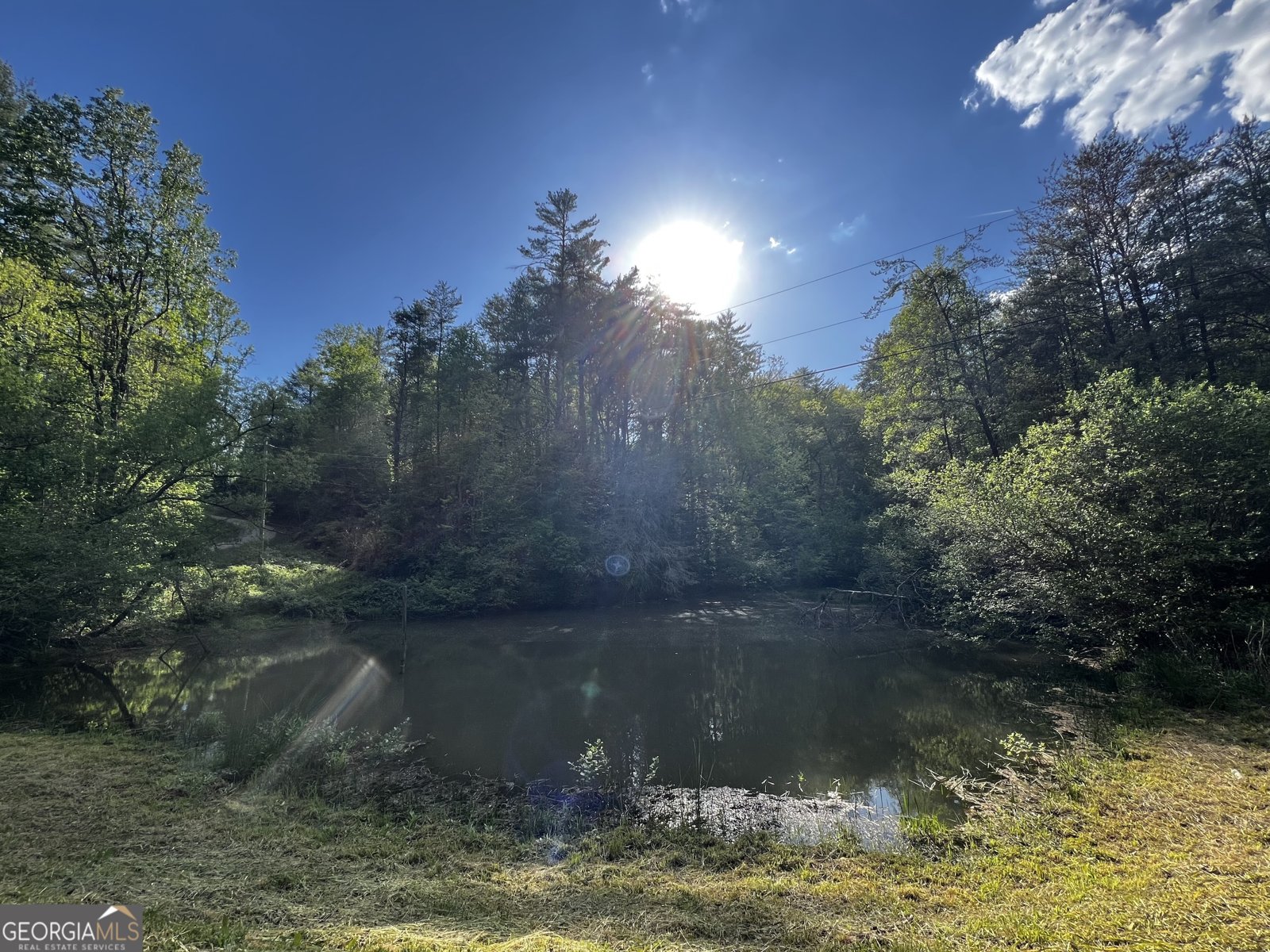 221 Muscadine Road Dahlonega - Photo 59