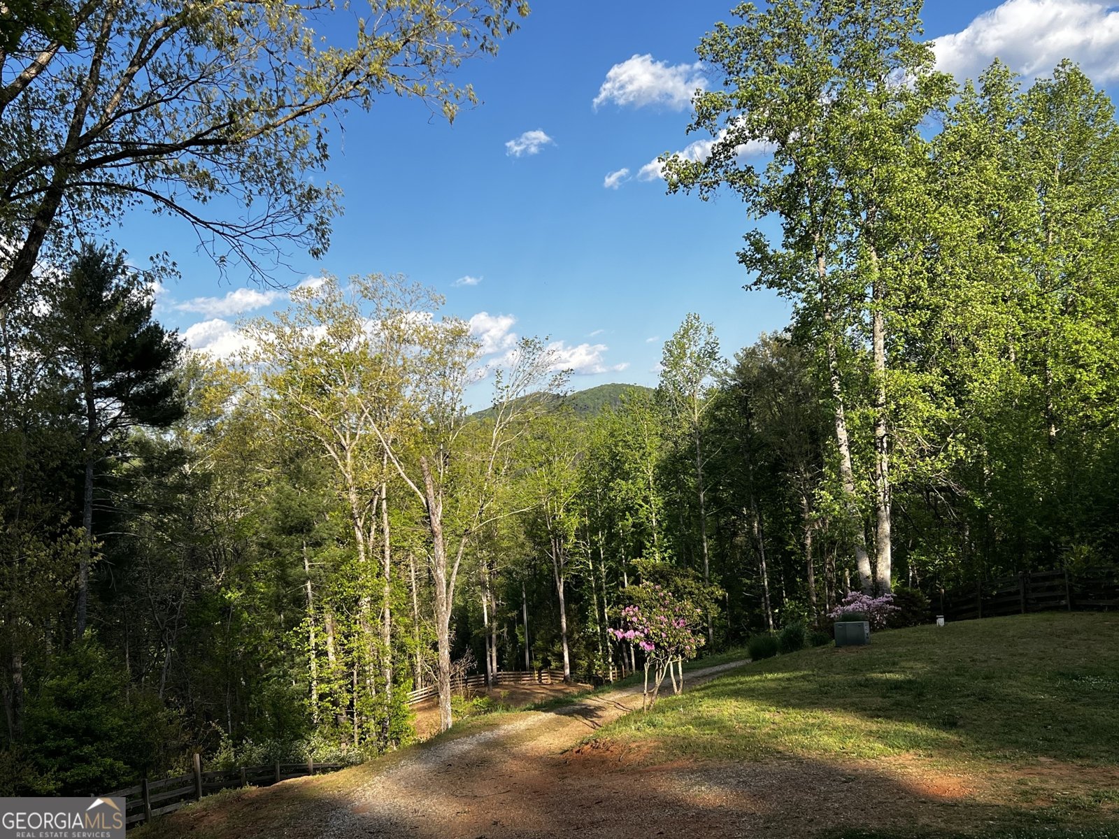 221 Muscadine Road Dahlonega - Photo 60