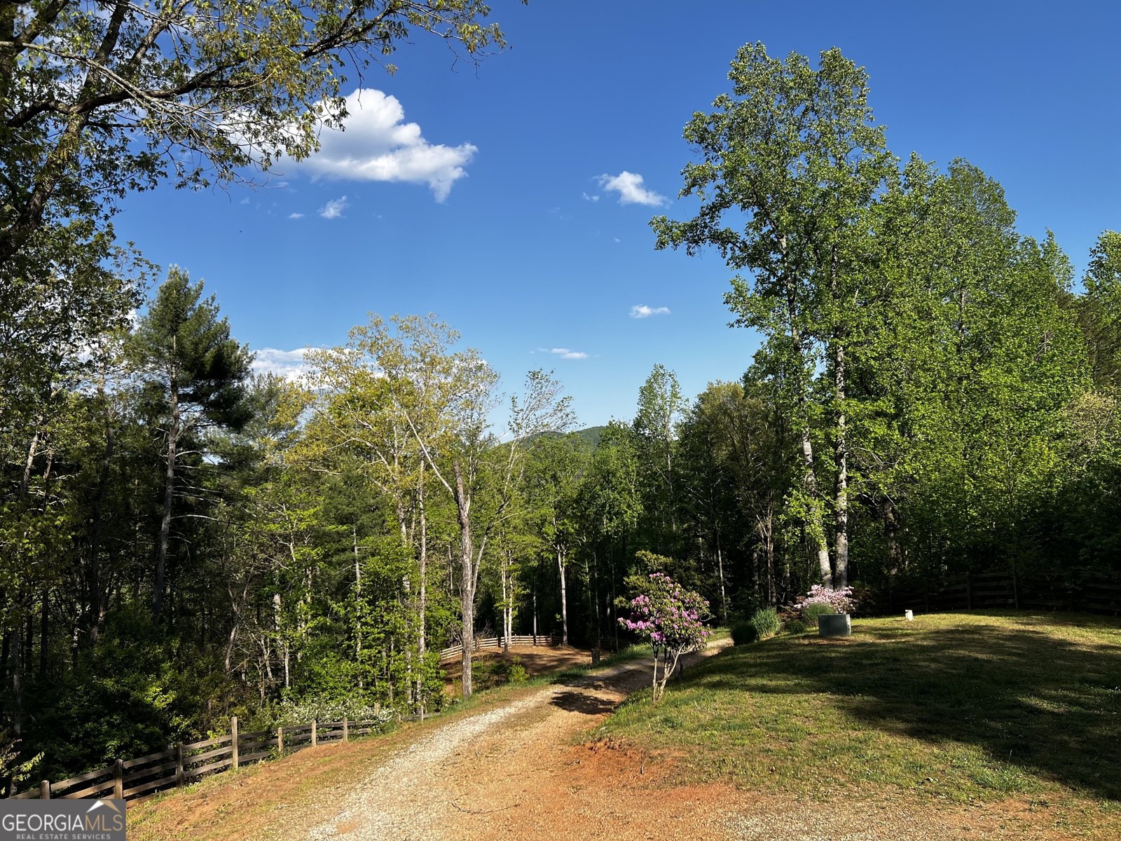 221 Muscadine Road Dahlonega - Photo 61