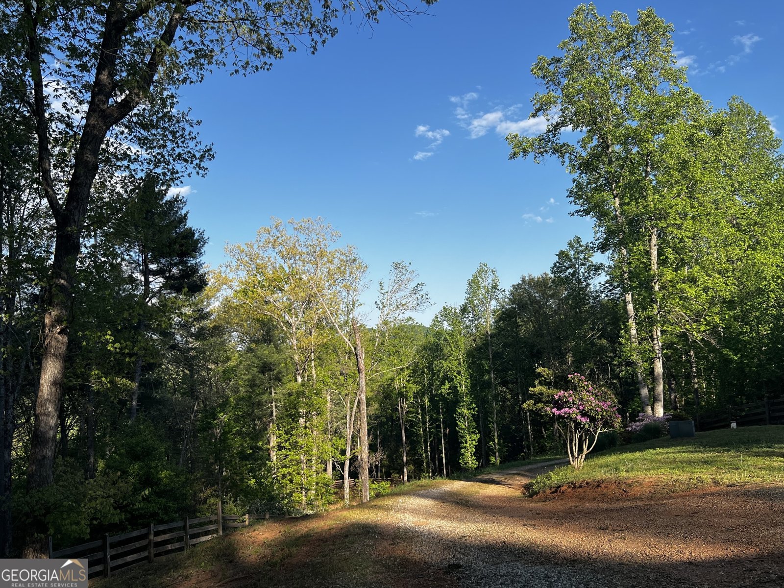 221 Muscadine Road Dahlonega - Photo 62