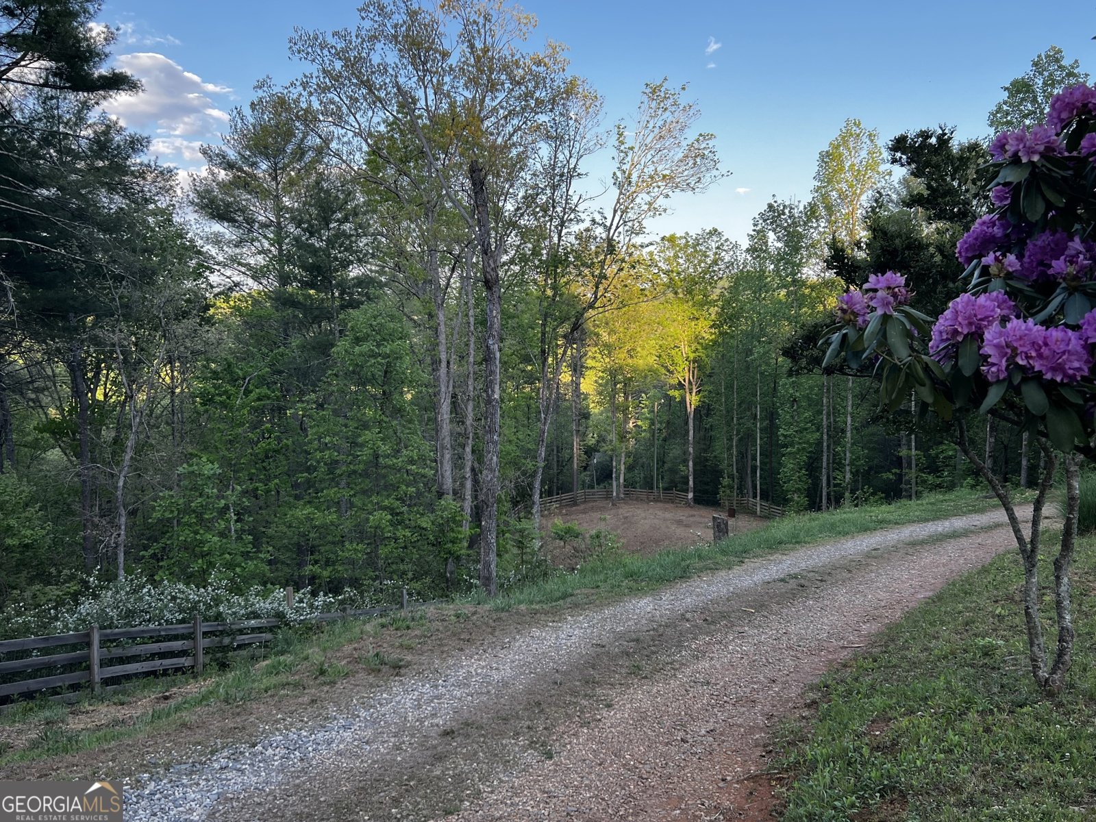 221 Muscadine Road Dahlonega - Photo 63