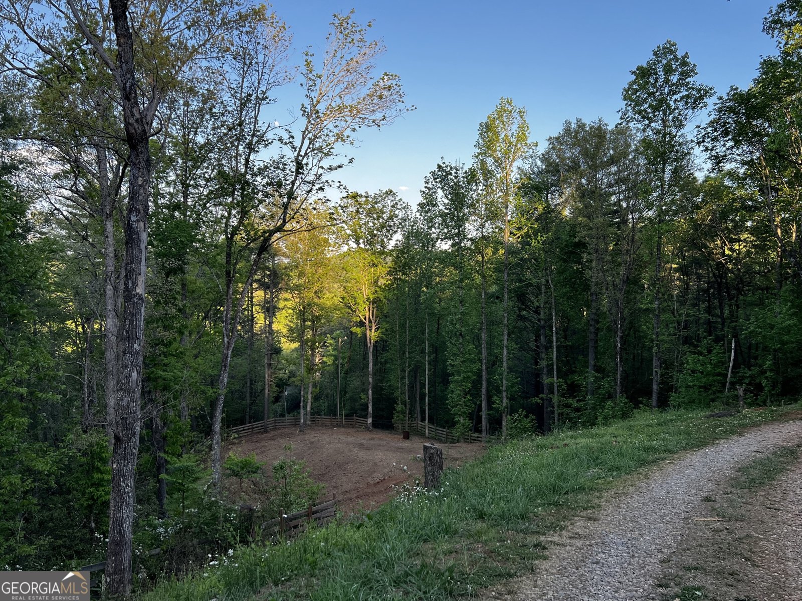 221 Muscadine Road Dahlonega - Photo 64