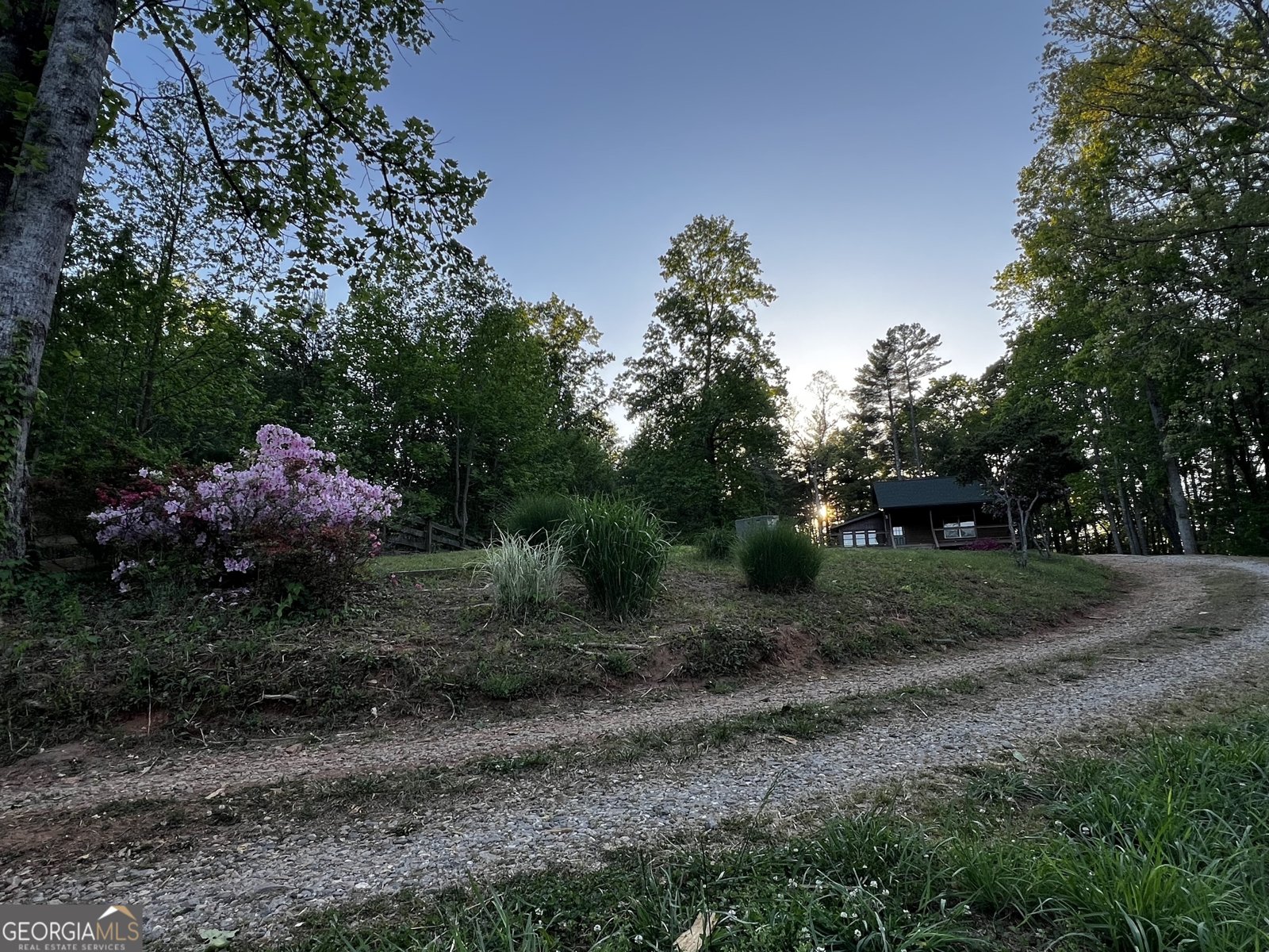 221 Muscadine Road Dahlonega - Photo 65