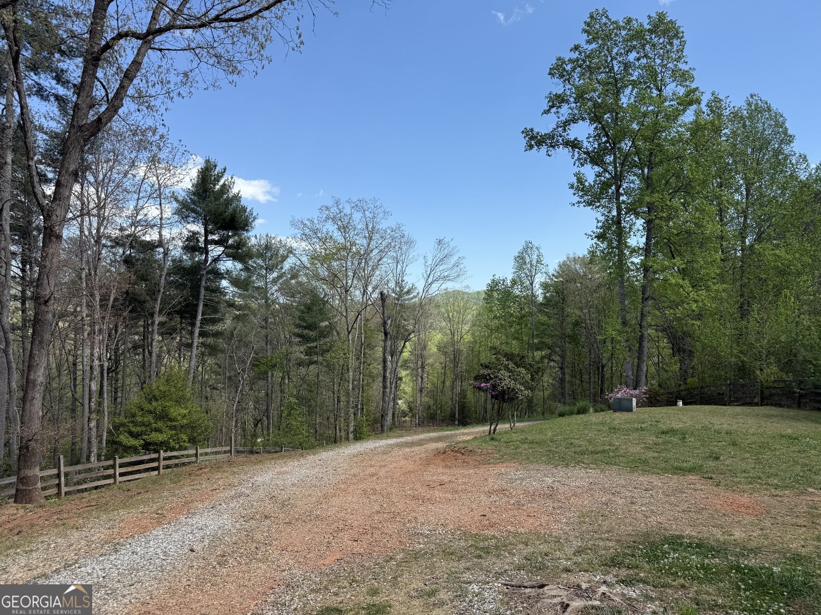 221 Muscadine Road Dahlonega - Photo 66