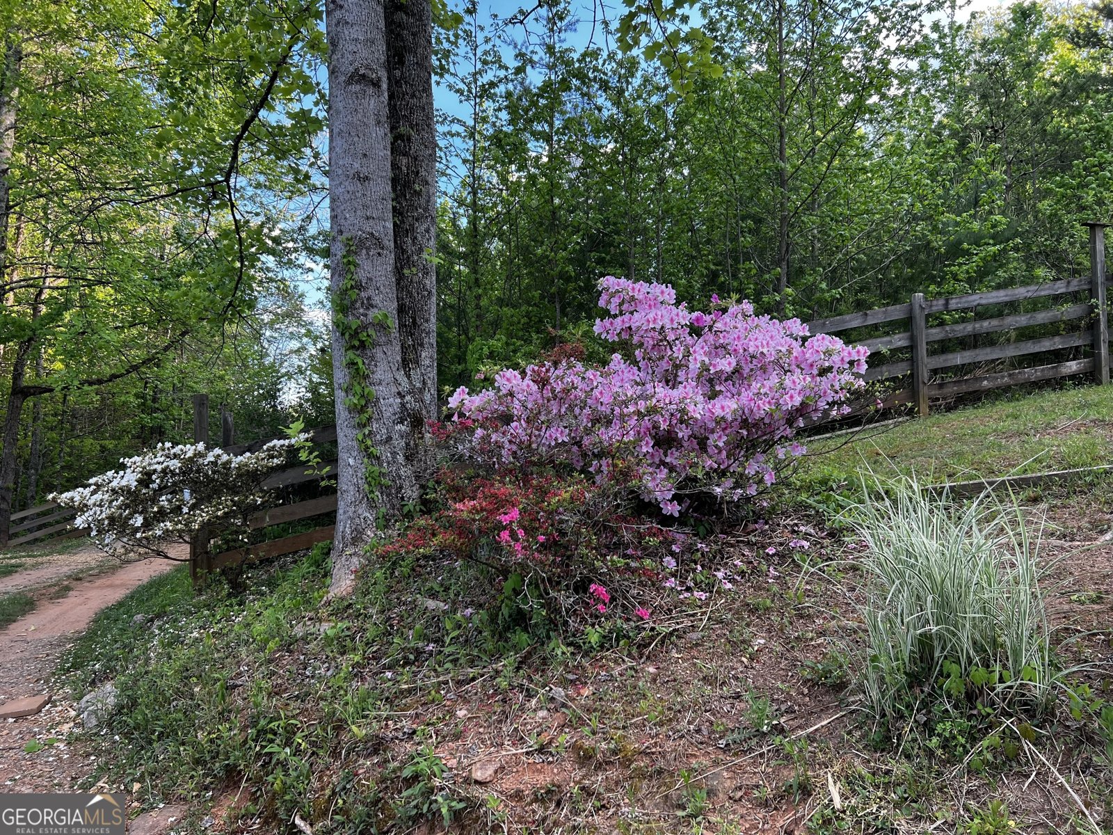 221 Muscadine Road Dahlonega - Photo 67