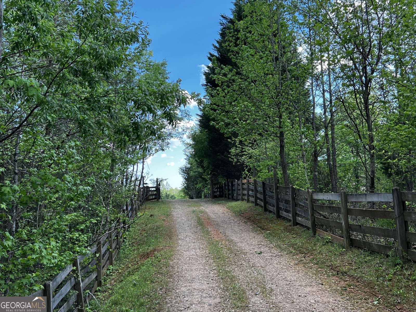 221 Muscadine Road Dahlonega - Photo 68