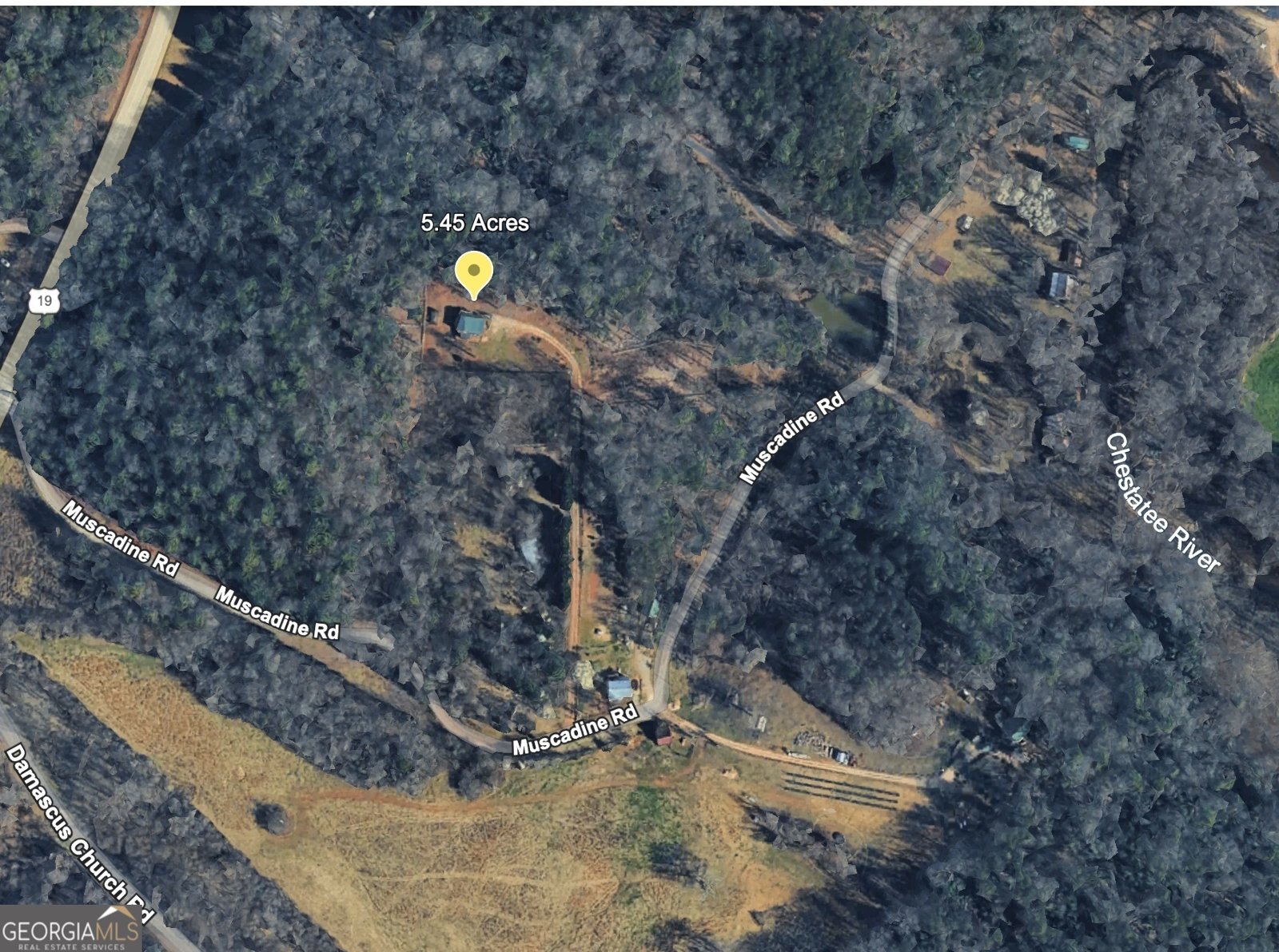 221 Muscadine Road Dahlonega - Photo 69