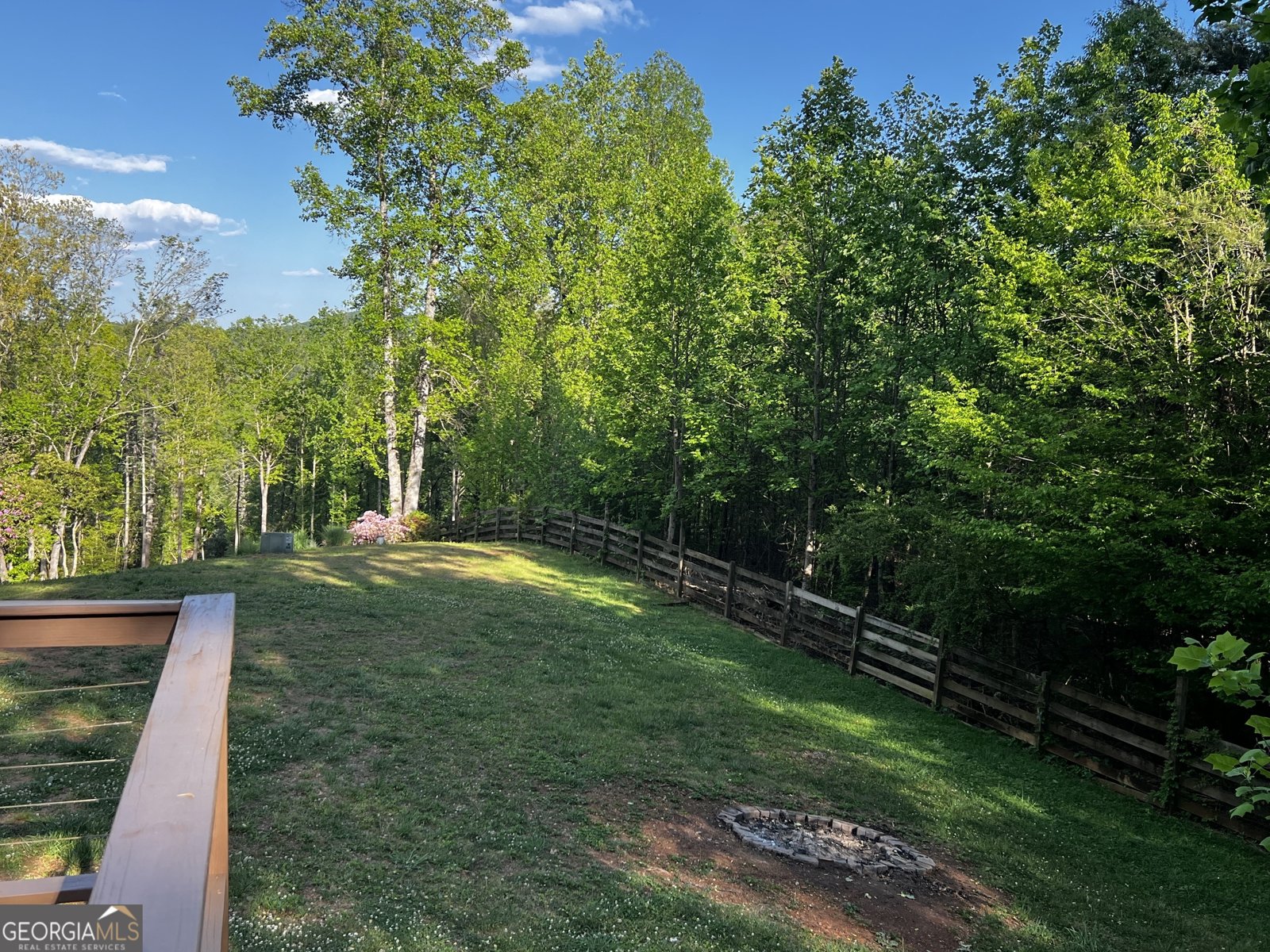 221 Muscadine Road Dahlonega - Photo 9