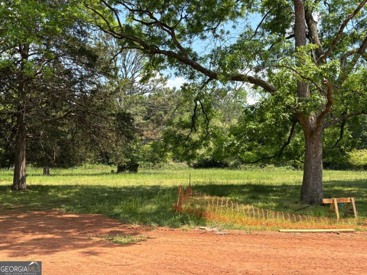 106 Wiiliamsburg Lane Athens - Photo 18