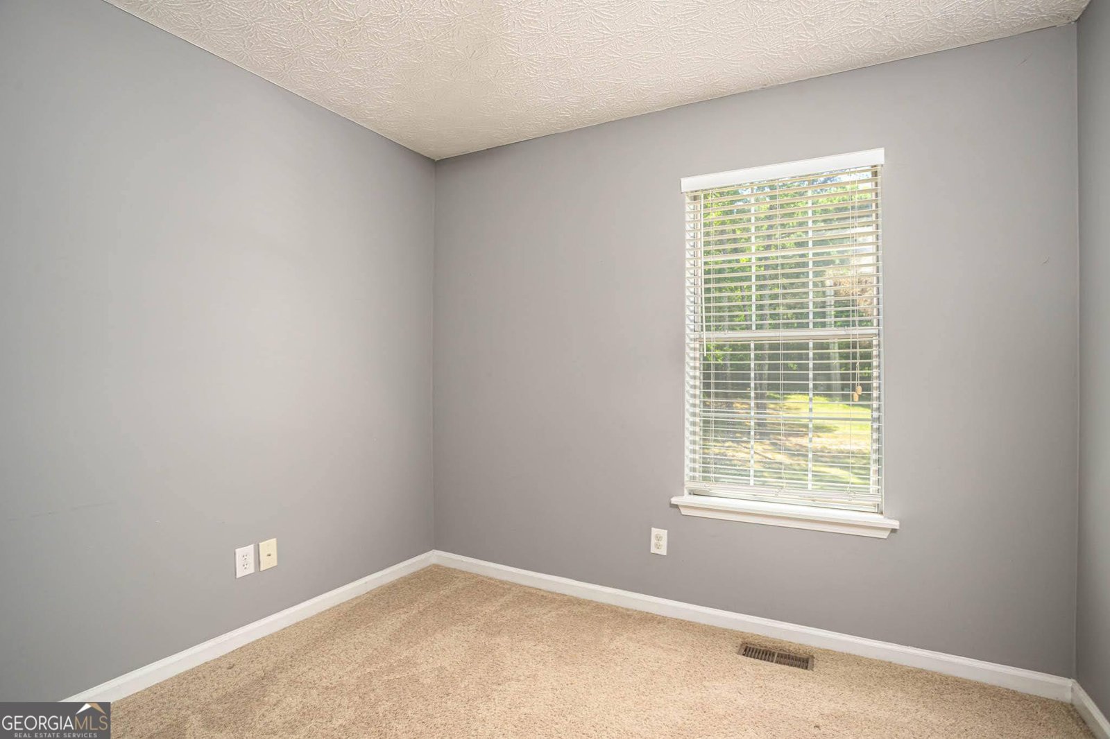 1080 Park Street Loganville - Photo 30