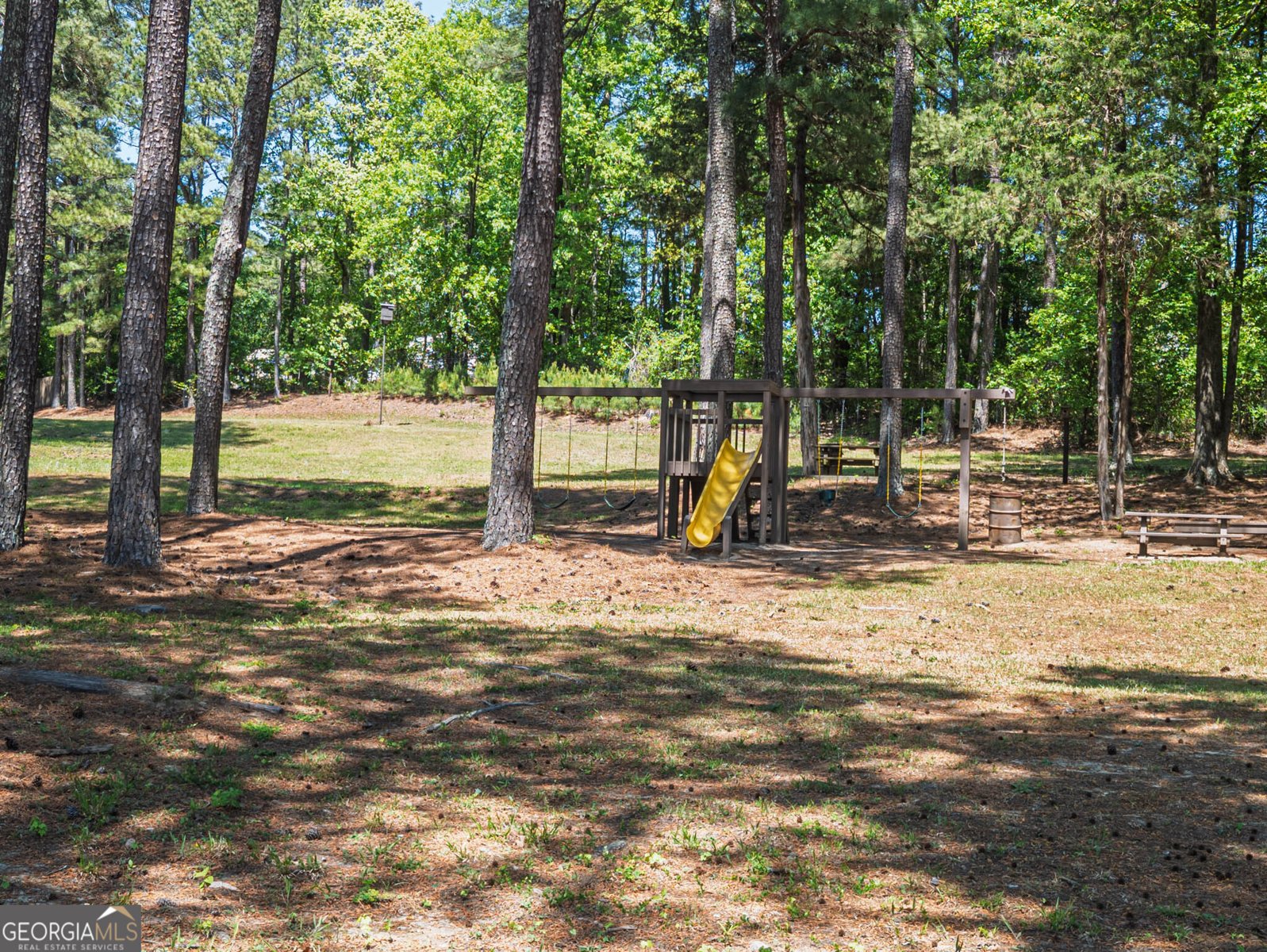 1080 Park Street Loganville - Photo 46