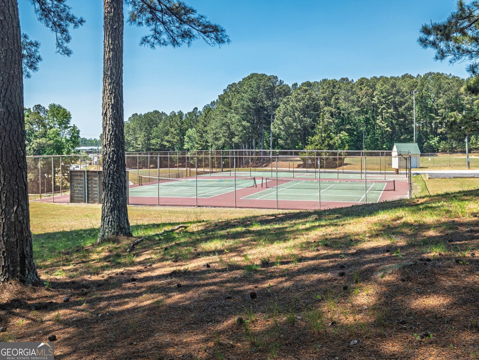 1080 Park Street Loganville - Photo 47