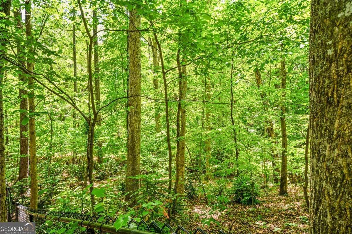 2840 Stratfield Drive Cumming - Photo 45