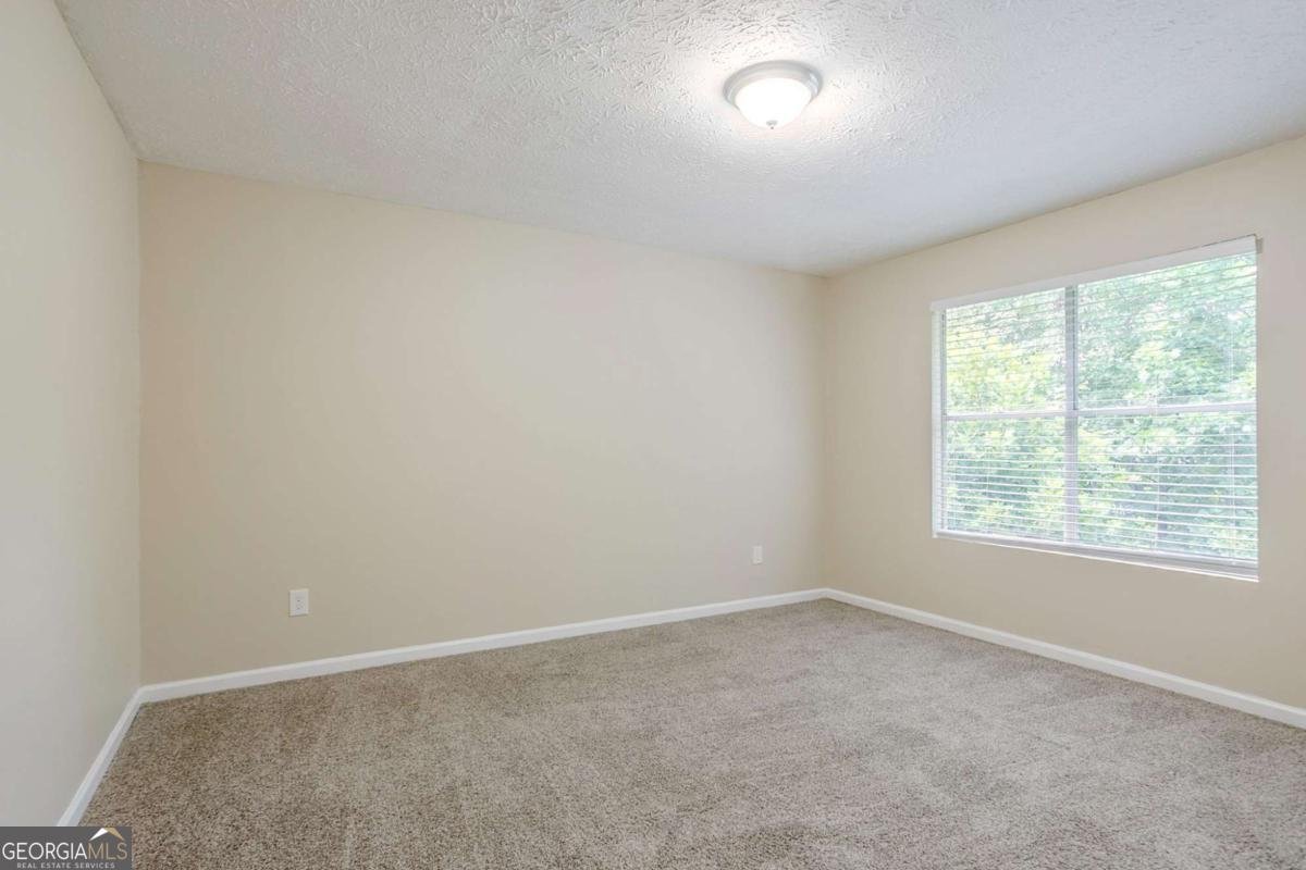 3822 Conley Downs Lane Decatur - Photo 21