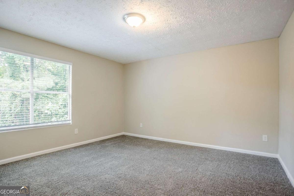 3822 Conley Downs Lane Decatur - Photo 23