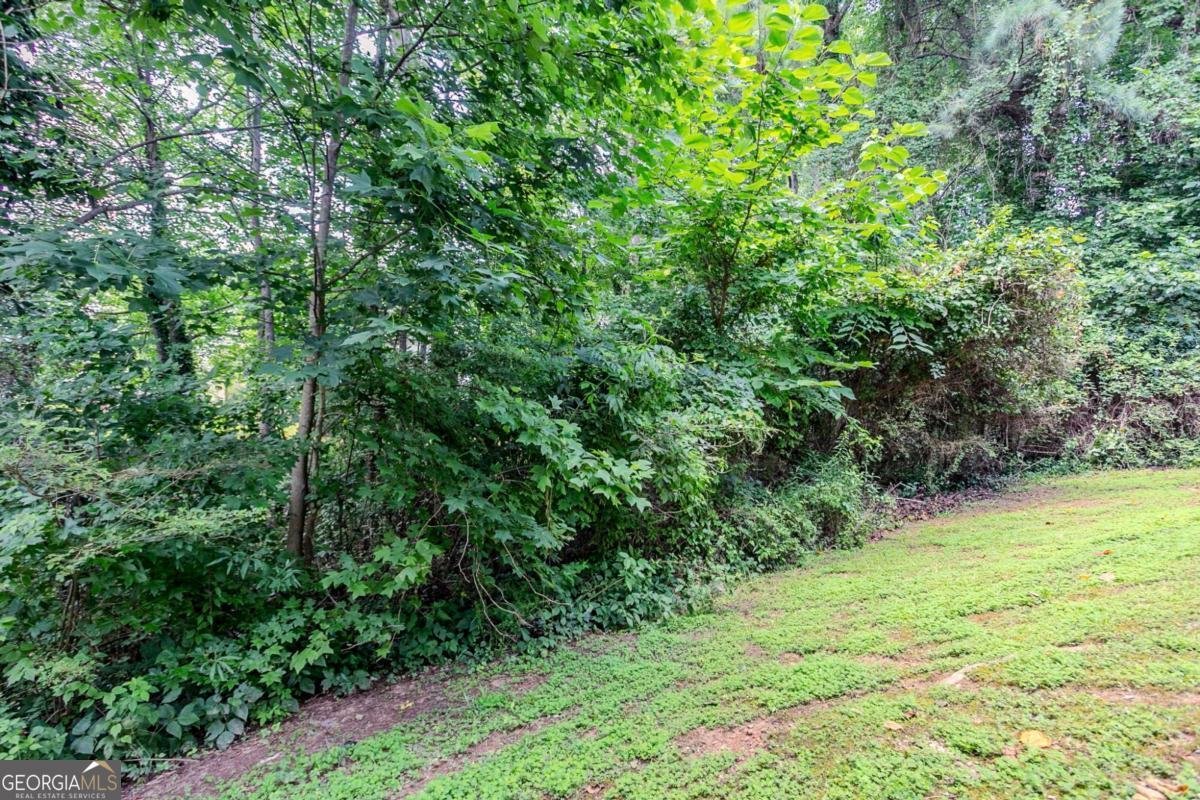 3822 Conley Downs Lane Decatur - Photo 33