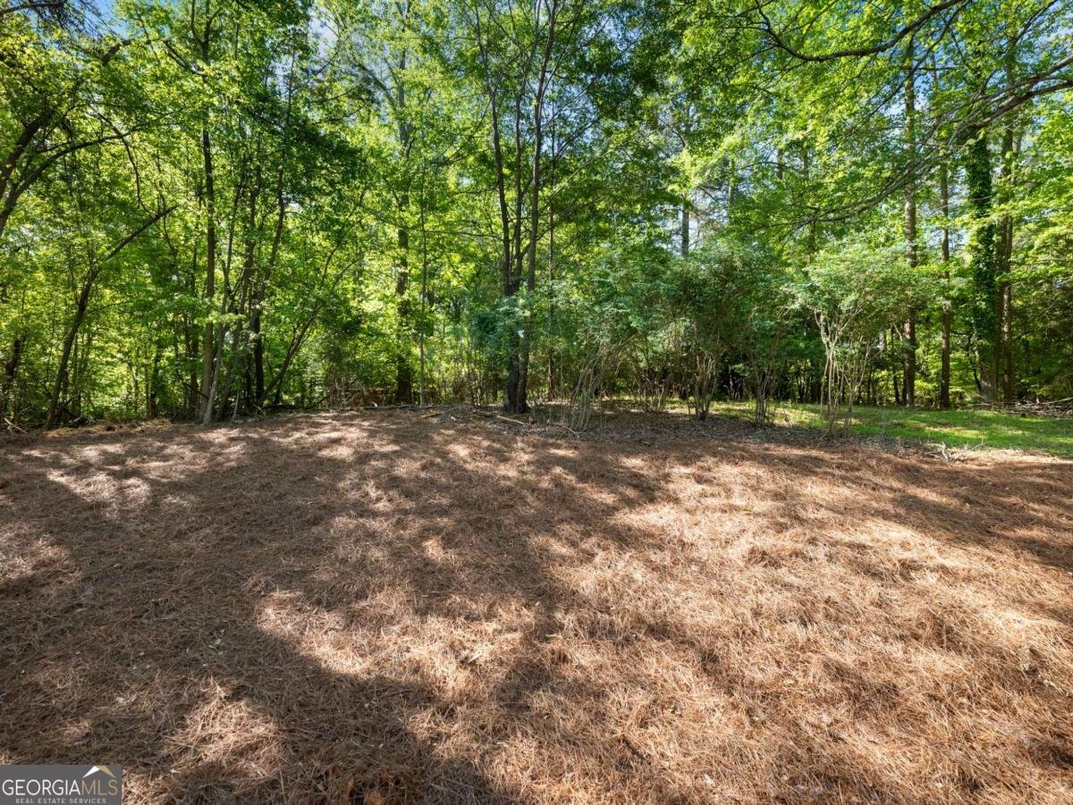 3037 Fowler Road Gainesville - Photo 45