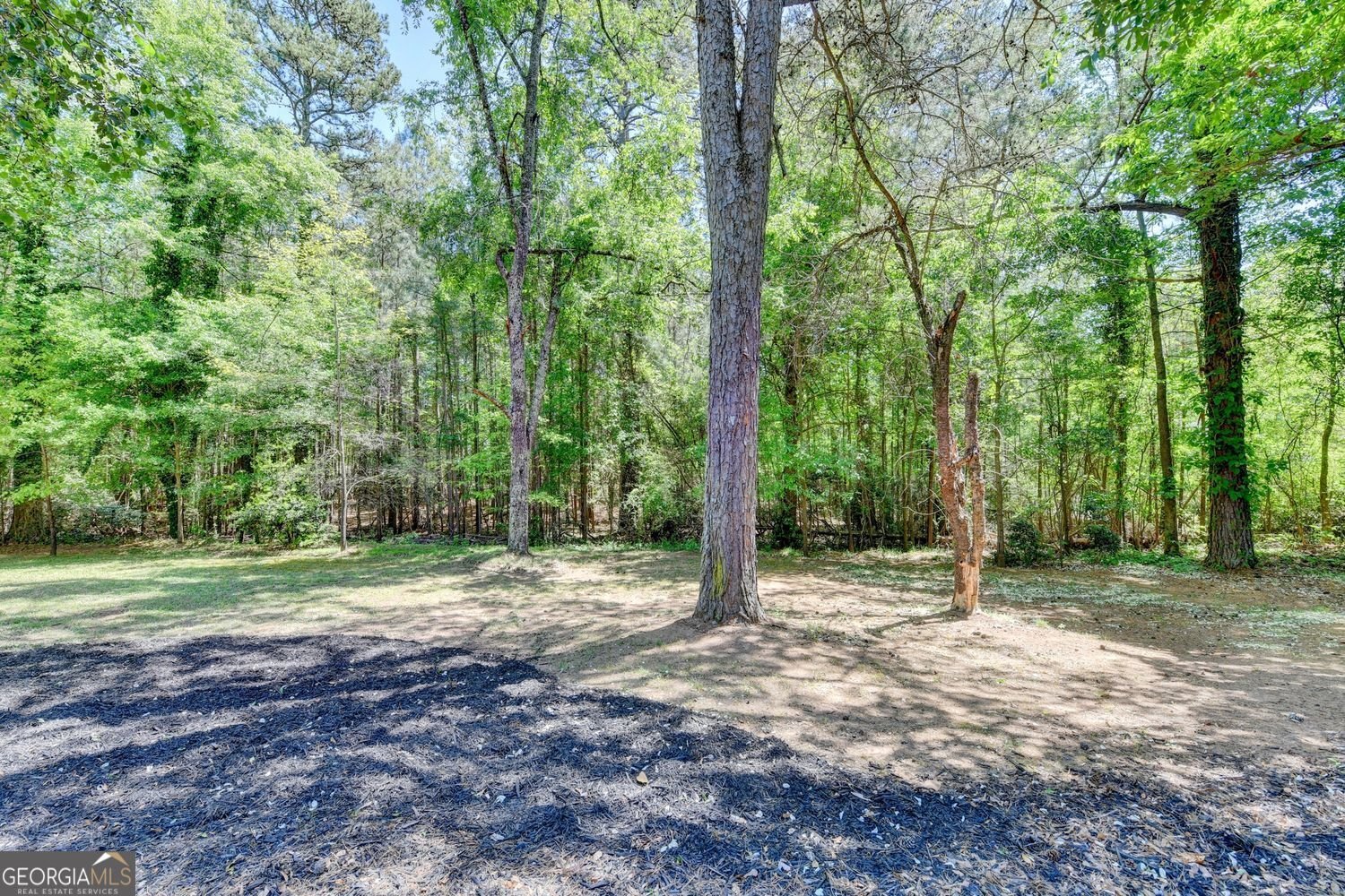 3795 Sinclair Shores Road Cumming - Photo 73