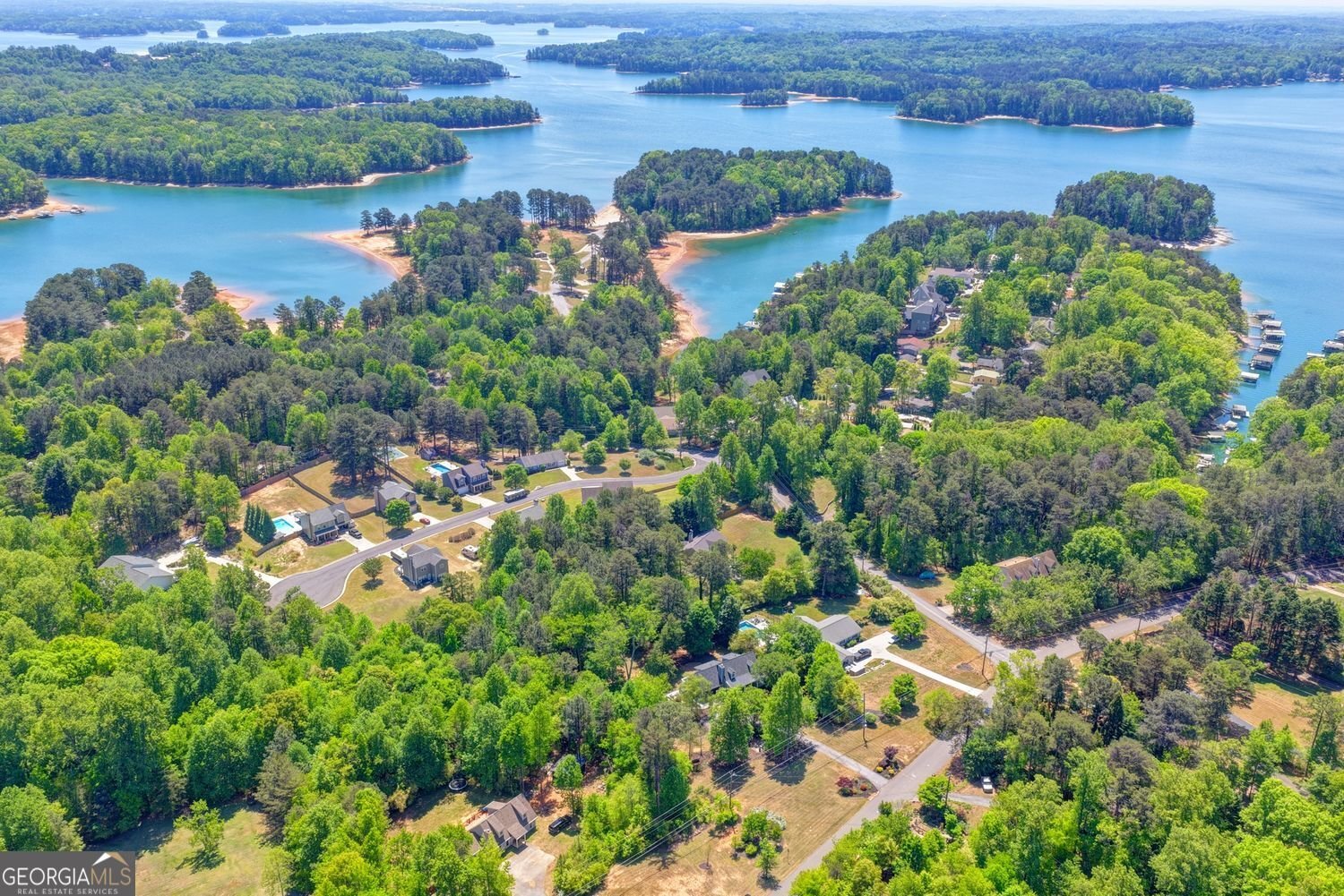 3795 Sinclair Shores Road Cumming - Photo 82