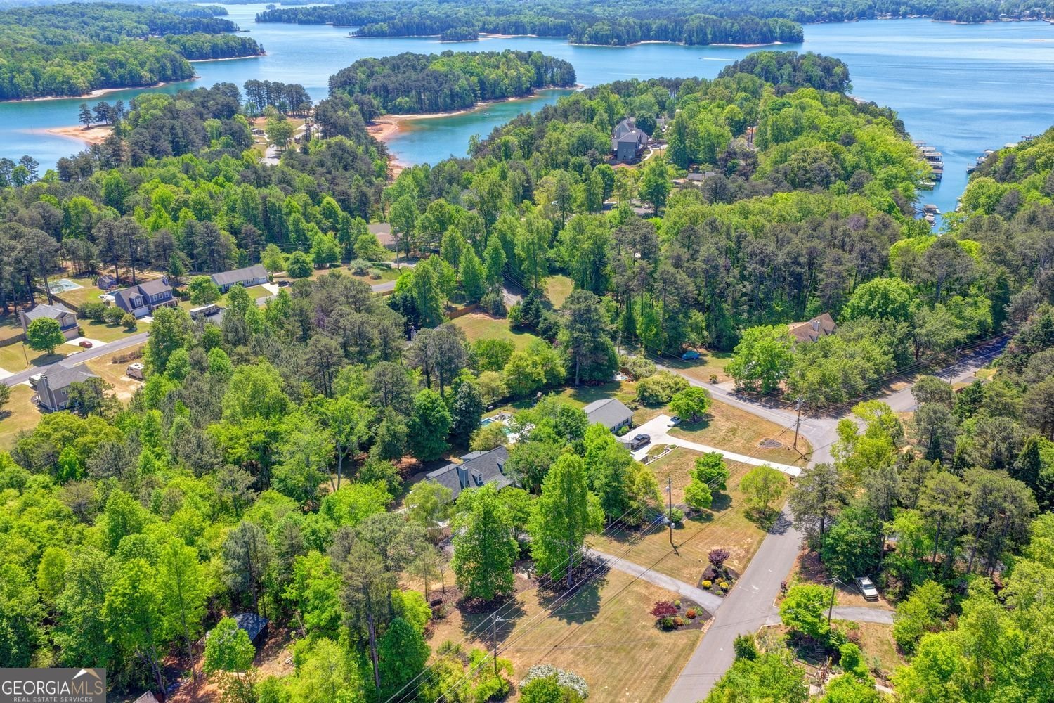 3795 Sinclair Shores Road Cumming - Photo 89