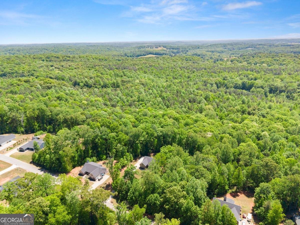 675 Oconee Lane Commerce - Photo 60