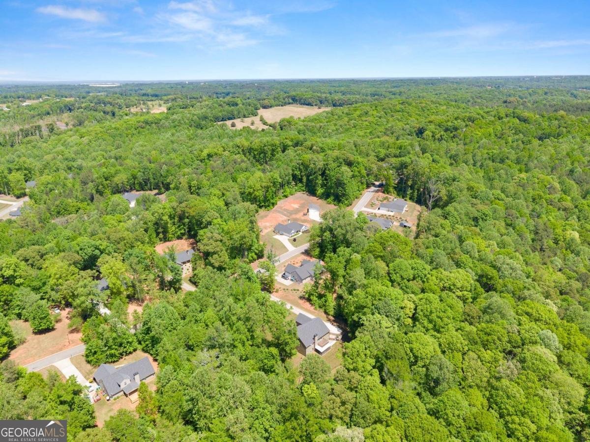 675 Oconee Lane Commerce - Photo 61