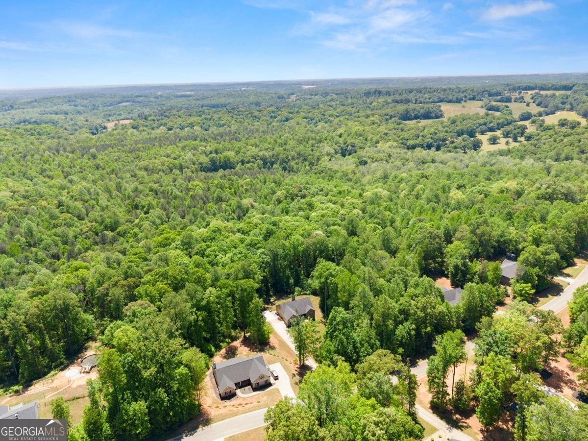 675 Oconee Lane Commerce - Photo 63