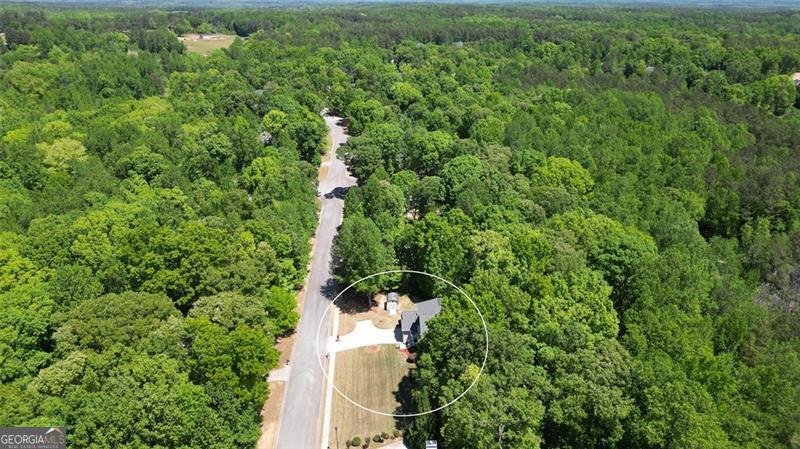 7052 Camp Falls Court Winston - Photo 58