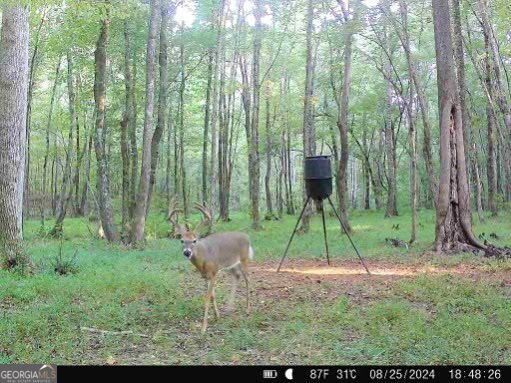 1260 Perryman Road Buckhead - Photo 61