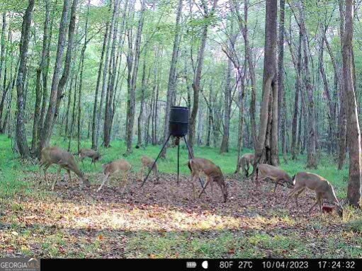 1260 Perryman Road Buckhead - Photo 62