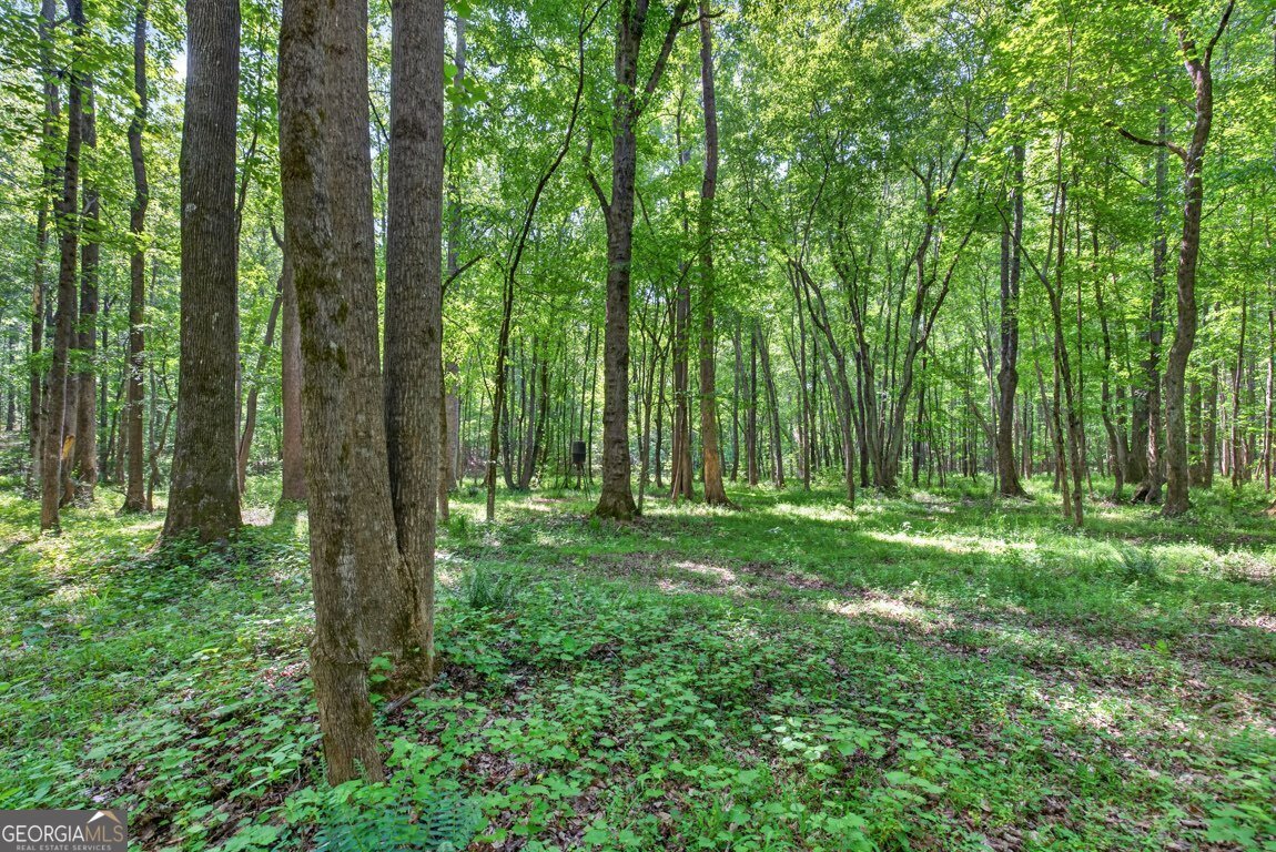 1260 Perryman Road Buckhead - Photo 78