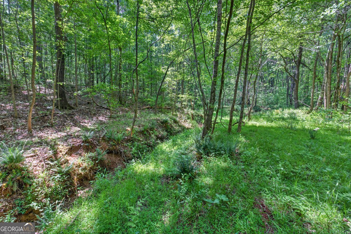 1260 Perryman Road Buckhead - Photo 79