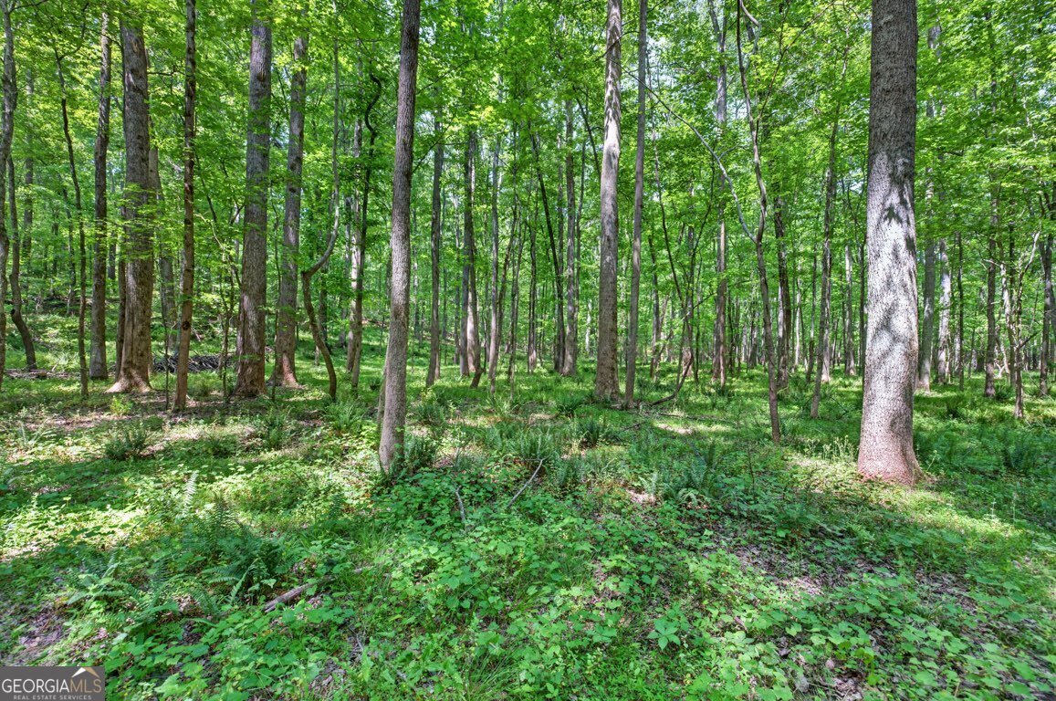 1260 Perryman Road Buckhead - Photo 80