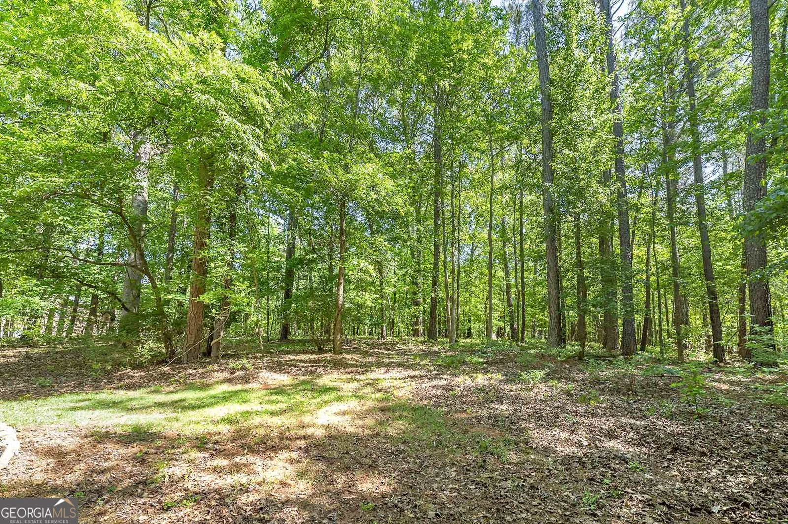 75 Allie Drive McDonough - Photo 7