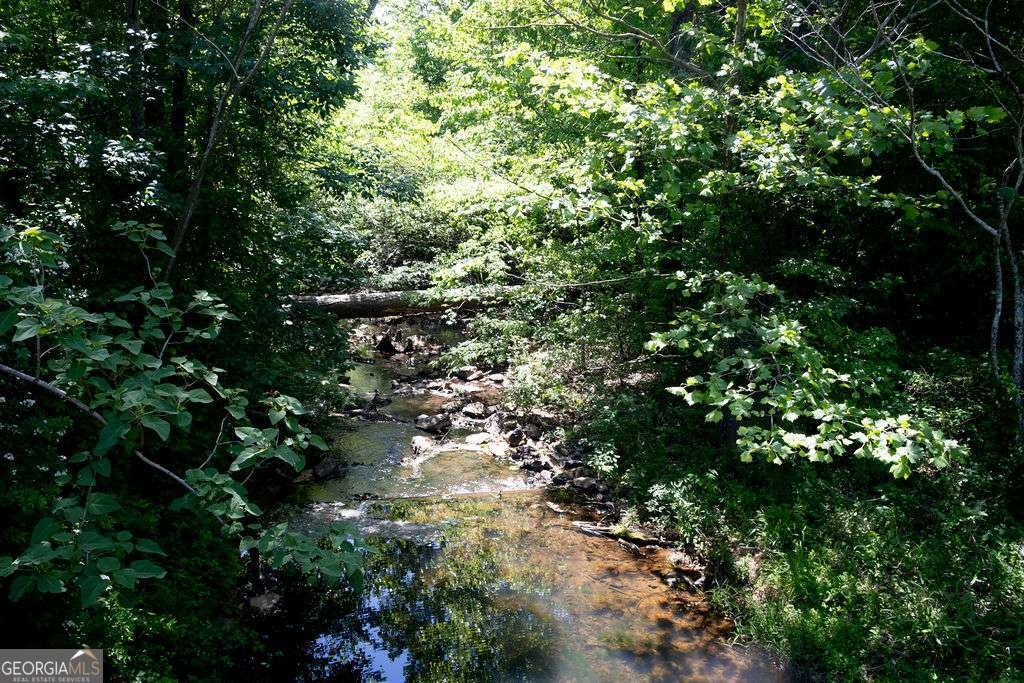 161 Dorys Way Dallas - Photo 42