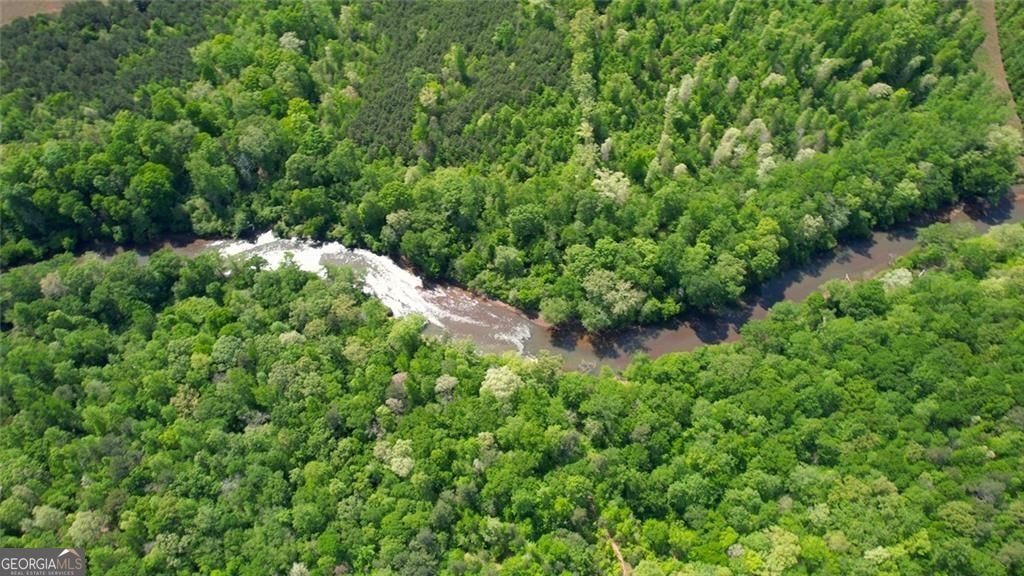 80 River Shoals Court Covington - Photo 86